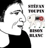 Stéfan Toupin - Le printemps des amants