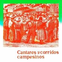 Album cover for La Del Sombrerito / Mi Rancherita by Los Dos Amigos