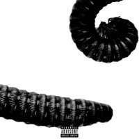 What Is a Thousand Minus Seven - Single - King Kuggs