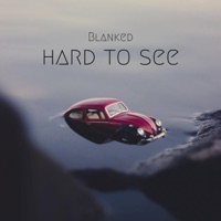 Hard to See - Single - Blanked