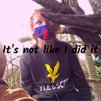 It's Not Like I Did It - Single
