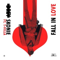 Fall In Love (feat. T Villa) - Single - Drey Skonie