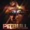 Shake Senora (feat. Sean Paul and T-Pain) - Pitbull lyrics