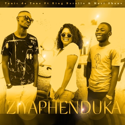 Ziyaphenduka (feat. King Barella & Mari Shane) - Single