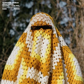 Nothing 2 Something Chrome Cable