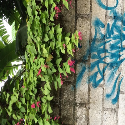 Me vale verga (feat. Orse Sm) - Single