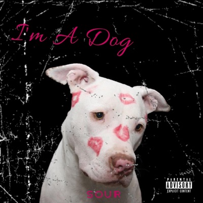 I'm a Dog - Single
