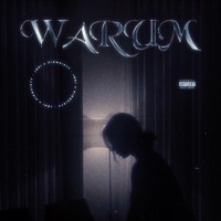 Warum (feat. Kidnxiety) - Single - Jboi
