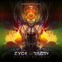 Story of DMT - Single - Zyce & Relativ