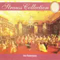 Die Fledermaus