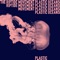 Plastic Oceans - The Riptide Movement lyrics