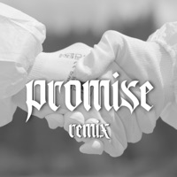 Promise (feat. REEVAH) [Remix] [Remix] - Single - Detivni, Yevad Ki$ & FERB