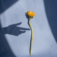 Ngiti Mo (feat. Chris Sales) - Single - Muffin