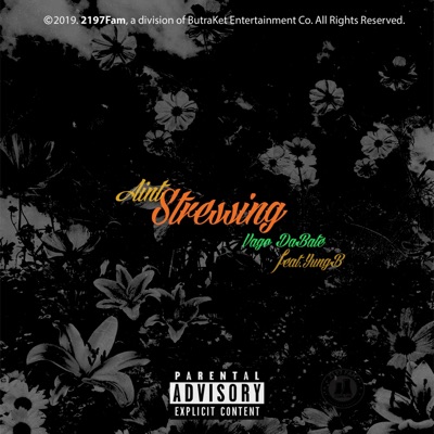 Aint Stressing (feat. Yungb) - Single