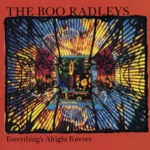 The Boo Radleys - Does This Hurt?