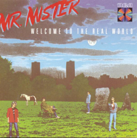 Kyrie - Mr. Mister Cover Art