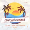 Como Será o Amanhã (Remix) [feat. Ana de Laia & Rebeca Fray] - Single