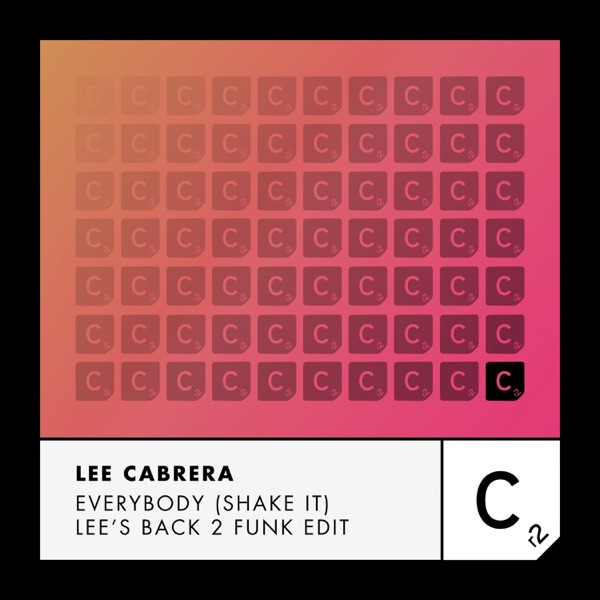 Everybody (Shake It) [Lee's Back 2 Funk Edit] - Single
