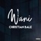 Christian Bale - Wani lyrics