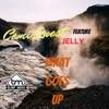 What Goes Up (feat. Jelly) - Single