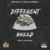 Different Breed (feat. Lil Yodaa & Future Relic) - Single