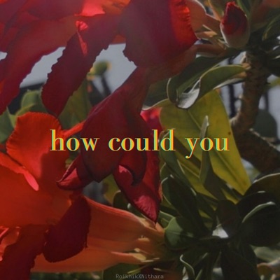 how could you (feat. Nithara Jacob) - Single