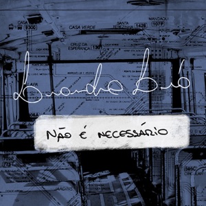 Não É Necessário (feat. Vander Lee) - Single