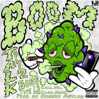 Boom Talk, Pt. 2 (feat. Call_Me_Cash_Heem) - Single - Bosstype LB