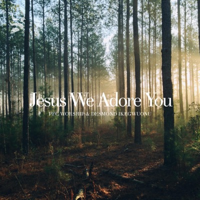 Jesus We Adore You (feat. Desmond Ikegwuonu & Jaime Arroyo) - Single