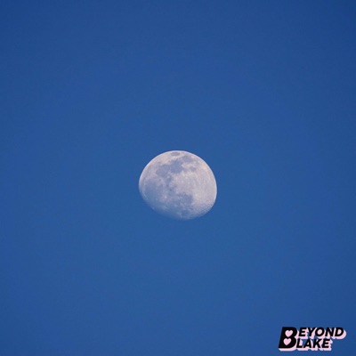 Demons (feat. Kani$) - Single