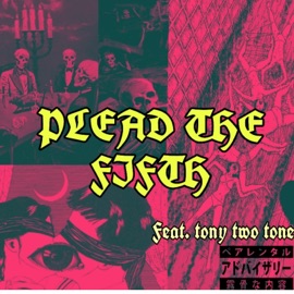 PLEAD the FIFTH (feat. Tony Two Tone) D.E.E.J