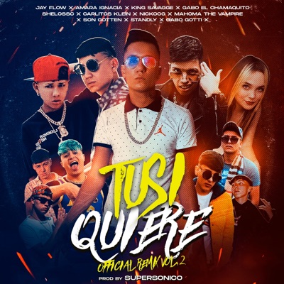 Tusi Quiere Vol 2 (feat. Amara Ignacia, King Savagge, Shelo, Nickoog clk, Standly, Carlitos Klein & Gabo El Chamaquito) - Single