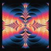 Intricacy cover art