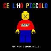 Ce l'ho piccolo (feat. Vins Beat & Simone Aiello) artwork