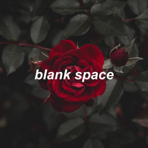 Putting A Spin On Blank Space Album Art
