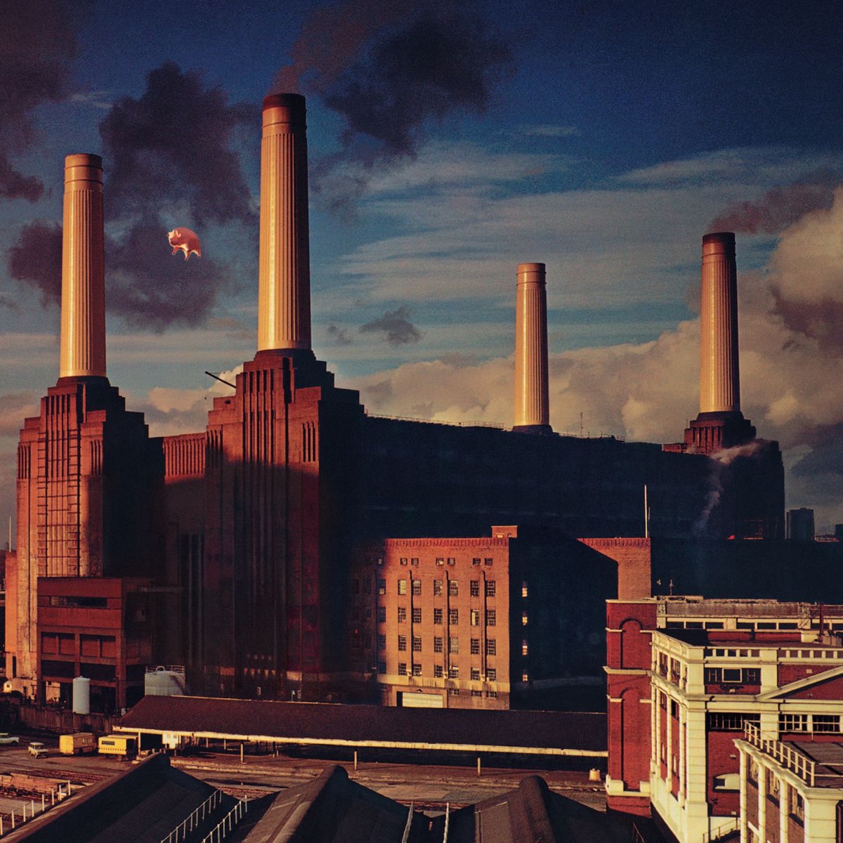 ‎Animals - Album by Pink Floyd - Apple Music