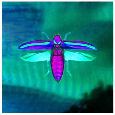 Junebugs (feat. SpaceyY) [Cobalt Remix] [Cobalt Remix] - Single