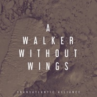 A Walker Without Wings - Single - Transatlantic Alliance