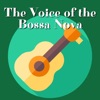 Bossa Nova Jazz - All Night Long