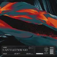 Can't Let You Go (Extended Mix) — Janee