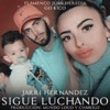 Sigue Luchando - Single