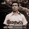 Thaai Nilame - Single