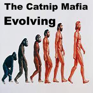 Evolving