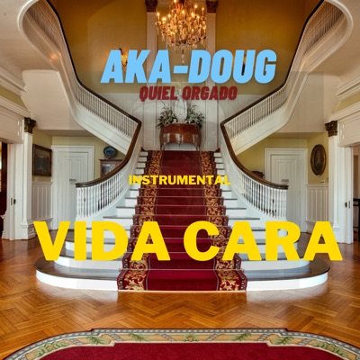 Vida Cara - Single