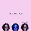Not Into You by Brooksie iTunes Track 1