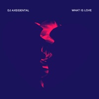 What Is Love - Single - DJ Axeidental