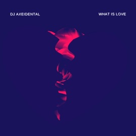 What Is Love DJ Axeidental