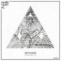 Everybody EP - Skymate