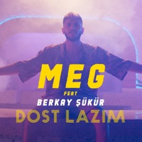 Dost Lazım (Remix) [feat. Berkay Şükür] - Single - Meg