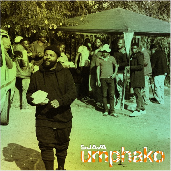 Cover artwork for Intombi